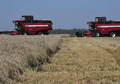 В Беларуси намолотили более 5 млн тонн зерна. На Могилевщине – 574 тысяч тонн