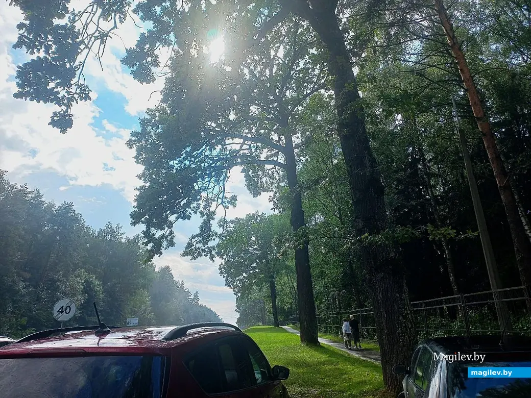 2025 год, Могилев. Въезд в город со стороны Любужа.