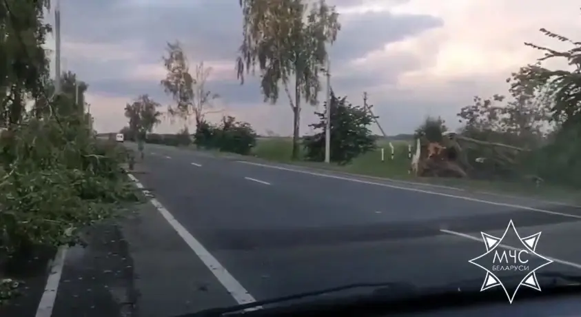 Последствия непогоды в Могилевской и Брестской областях. Фото: МЧС.