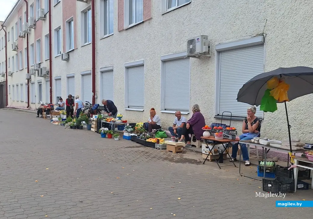 16.08.2025 г. Могилев, "стихийная" торговля теперь напротив у входа на рынок рядом с ЖД вокзалом.
