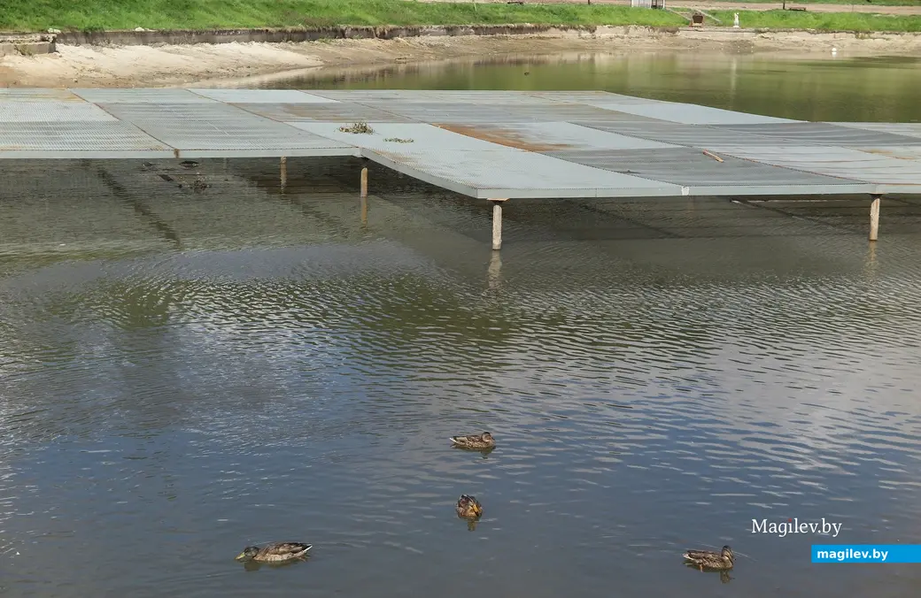 18.08.2025 г. Могилев, Дубровенка.