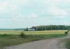 «Мой васильковый край». История деревни Клещевка от бобруйчанки Татьяны Афанасьевой. Часть 2.