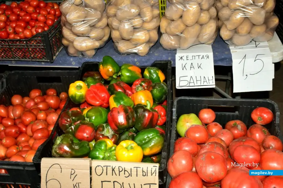 Бобруйск, 22 августа 2025 года. Рынок на Красноармейской.