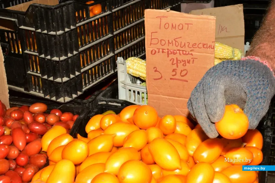 Бобруйск, 22 августа 2025 года. Рынок на Красноармейской.