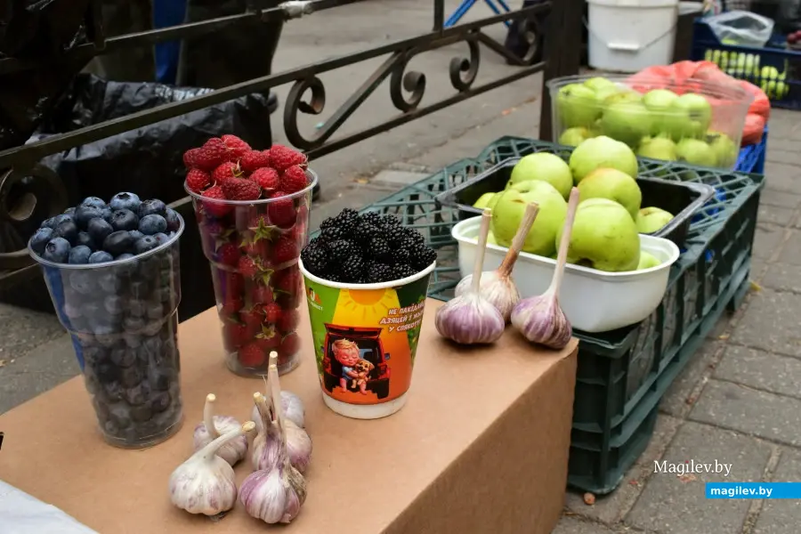 Бобруйск, 22 августа 2025 года. Рынок на Красноармейской.