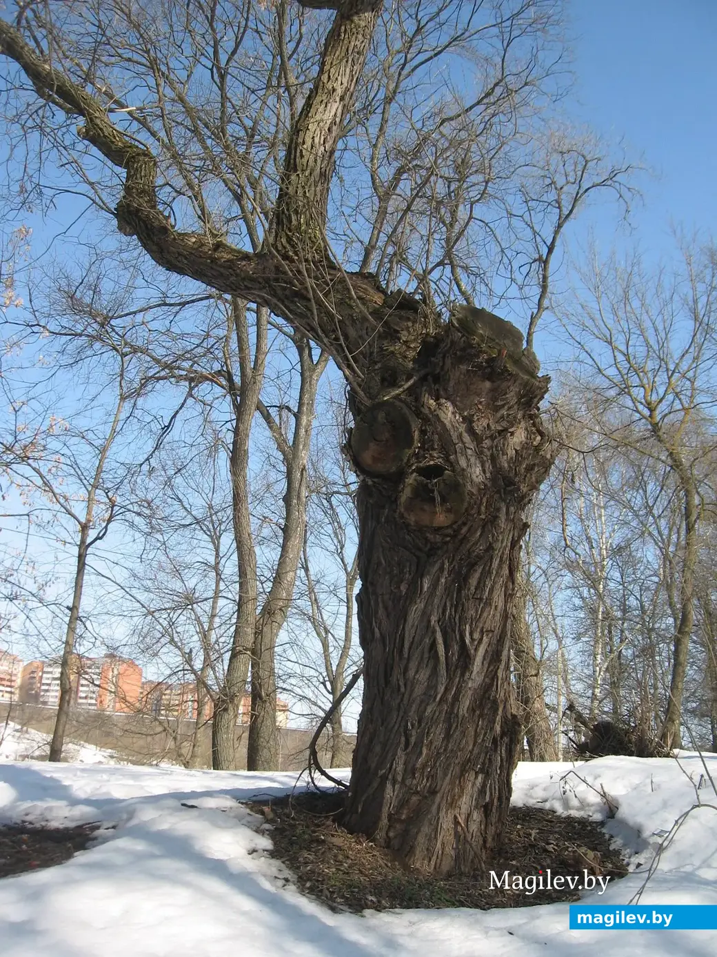 2012 год, Могилев, Дубровенка.