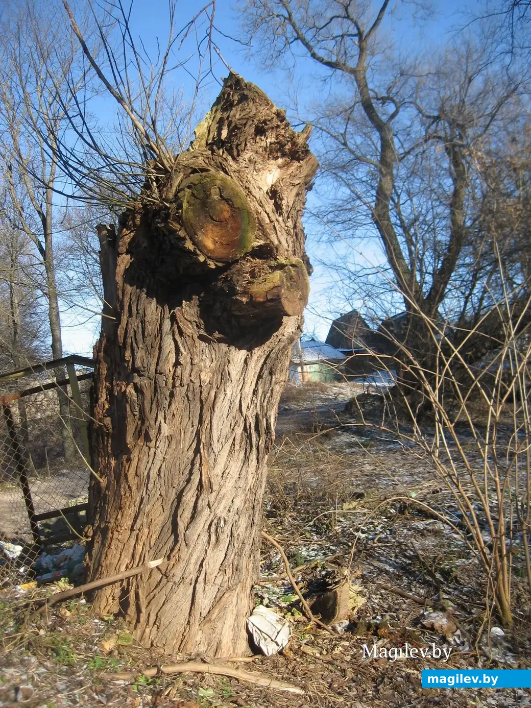 2013 год, Могилев, Дубровенка.