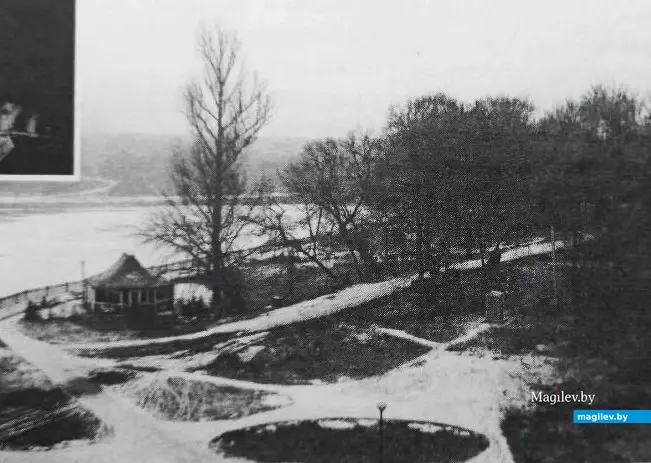 2013 год, Могилев, Дубровенка. Останки нашего дерева в правой стороне снимка, на обочине покрытого снегом Минского тракта. Фото из моей книги «Тусовка в стиле ретро».