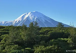 Четыре мощных землетрясения произошли у побережья Камчатки