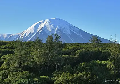 Четыре мощных землетрясения произошли у побережья Камчатки