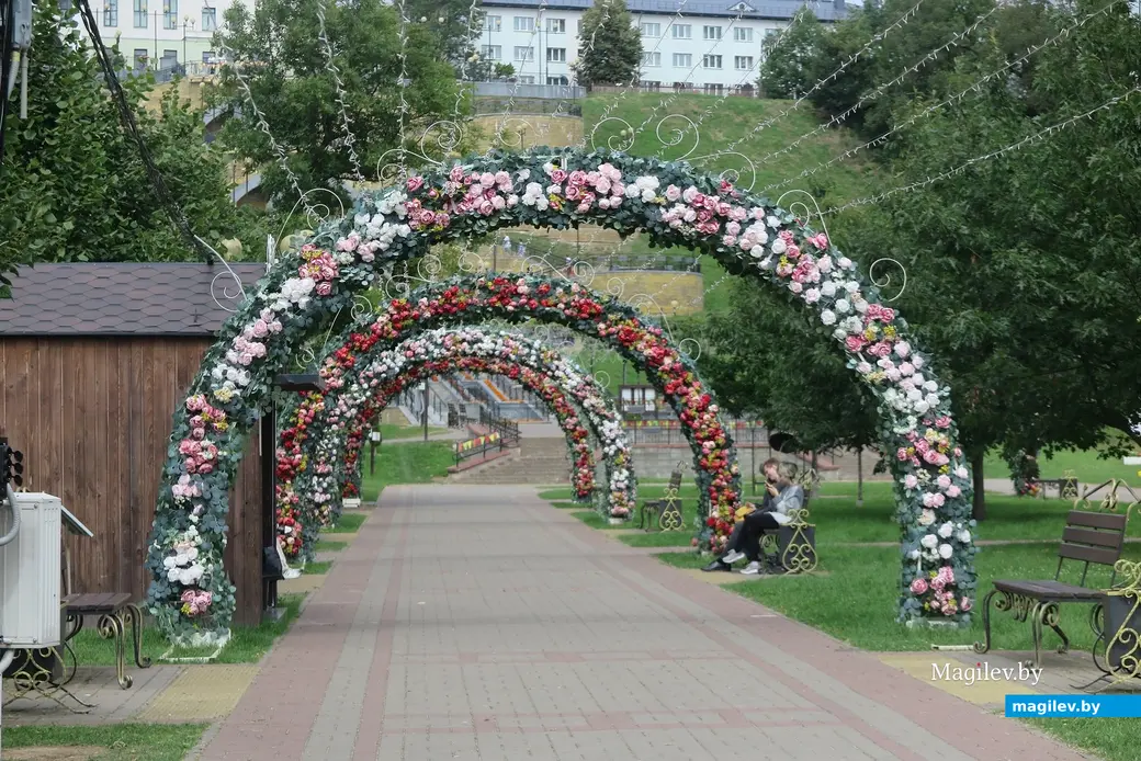 Август 2025 г. Могилев, парк Подниколье. Цветочные арки - прекрасная фотолокация.