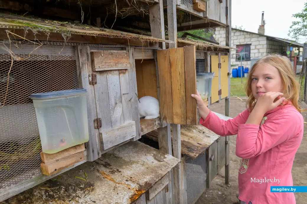 22.08.2025. Бобруйск. Сергей Филипчик разводит птицу, кроликов и свиней на домашнем подворье. В работе ему помогает вся семья. На фото: дочь Евгения.