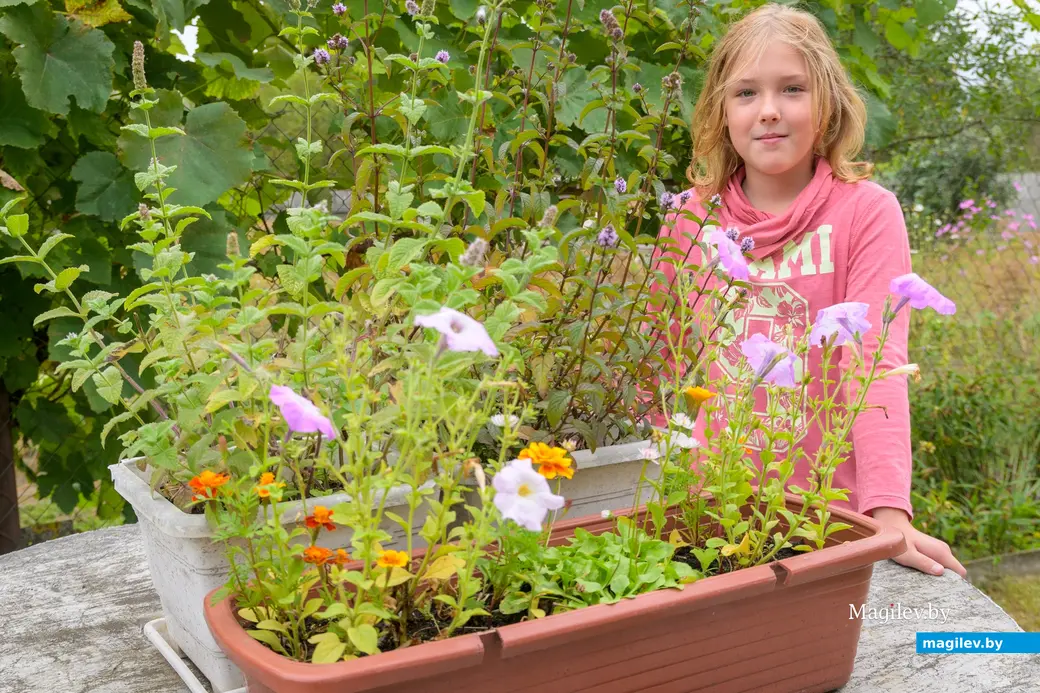 22.08.2025. Бобруйск. Сергей Филипчик разводит птицу, кроликов и свиней на домашнем подворье. На фото его помощница – дочь Евгения.