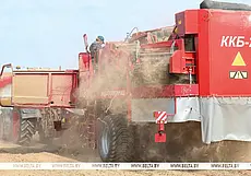 Лукашенко констатировал: дела в «Рассвете» идут неплохо, чего нельзя сказать о соседних хозяйствах