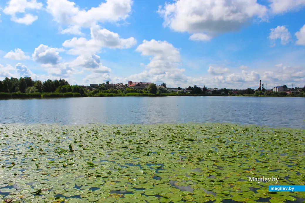 Август 2025 года. Город Глубокое. Витебская область. Одно из озер города.
