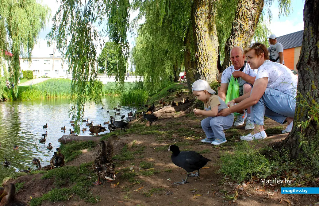 Август 2025 года. Город Глубокое. Витебская область. Одно из озер города.