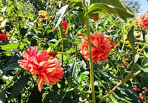 Тепло и сухо: какой будет погода в Могилеве в первый день осени