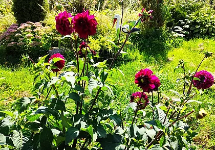 Не жарко и без дождей: какой будет погода в Могилеве сегодня, 2 сентября