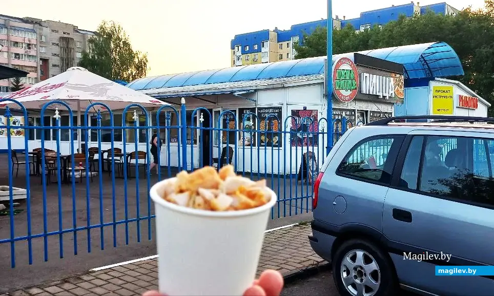 Август 2025 года, Могилев, Казимировка. Курочка для Ами.