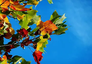 Солнечно и по-летнему тепло: какой будет погода в Могилеве в четверг, 4 сентября