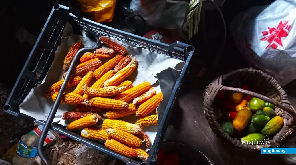 Август 2025 года, Могилев. В мастерской у Игоря Гришина.