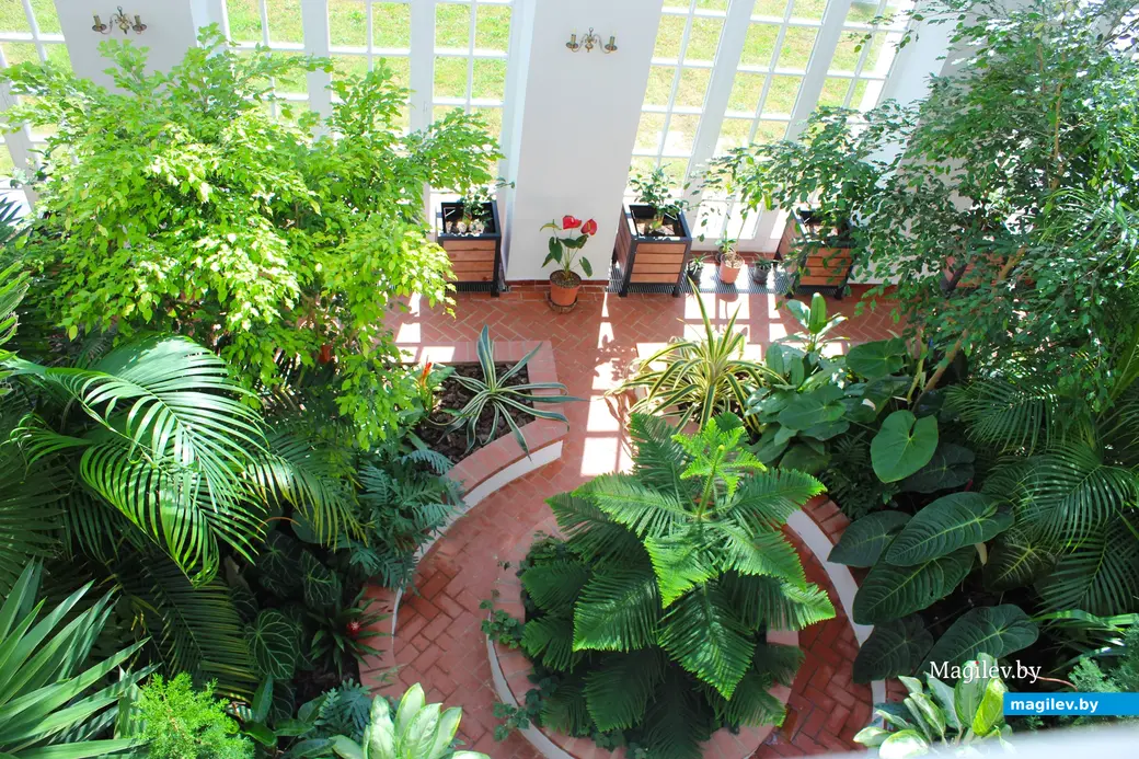 31 августа 2025 года. Дворцово-парковый комплекс Булгаков в Жиличах. Кировский район Могилевской области. Оранжерея.