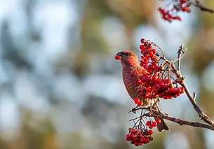 Пасмурно и небольшой дождь: какой будет погода в Могилеве в пятницу, 5 сентября
