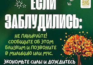 Советы спасателей: как не заблудиться в лесу, и что делать, если это все-таки произошло