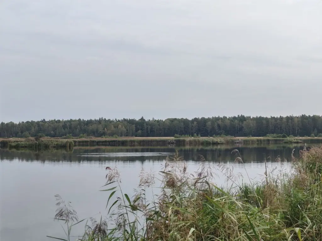 Озеро вблизи деревни Буднево Кличевского района. Фото: МЧС.