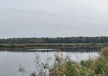 Рыбак из Бобруйска утонул в озере на Кличевщине