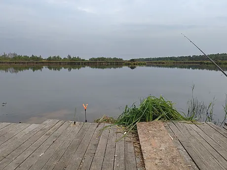 Озеро вблизи деревни Буднево Кличевского района. Фото: МЧС.