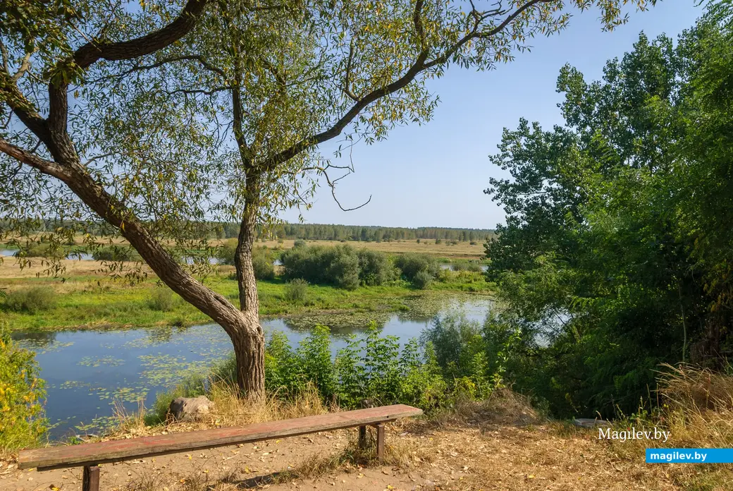 04.09.2025. 1/14, Набережный переулок, Ленинский район, Бобруйск, Могилёвская область, 213817, Беларусь. Дальний форштадт. Улица Набережная