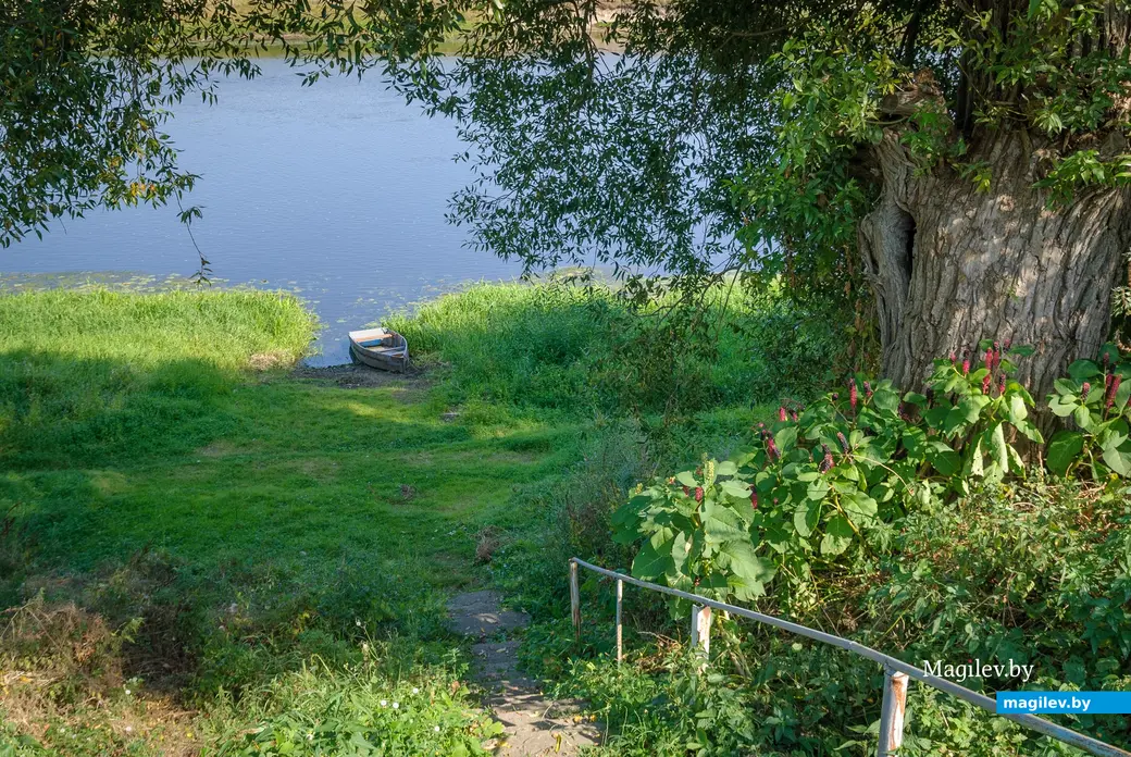 04.09.2025. 42, Набережная улица, Ленинский район, Бобруйск, Могилёвская область, 213817, Беларусь. Дальний форштадт. Улица Набережная