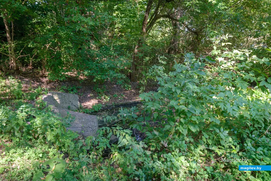 04.09.2025. 80, Набережная улица, Ленинский район, Бобруйск, Могилёвская область, 213817, Беларусь. Дальний форштадт. Улица Набережная