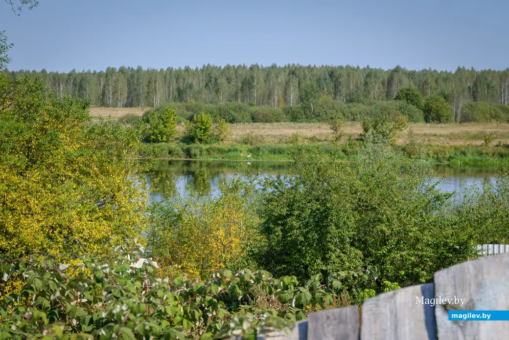 04.09.2025. 2, Набережная улица, Ленинский район, Бобруйск, Могилёвская область, 213817, Беларусь. Дальний форштадт. Улица Набережная