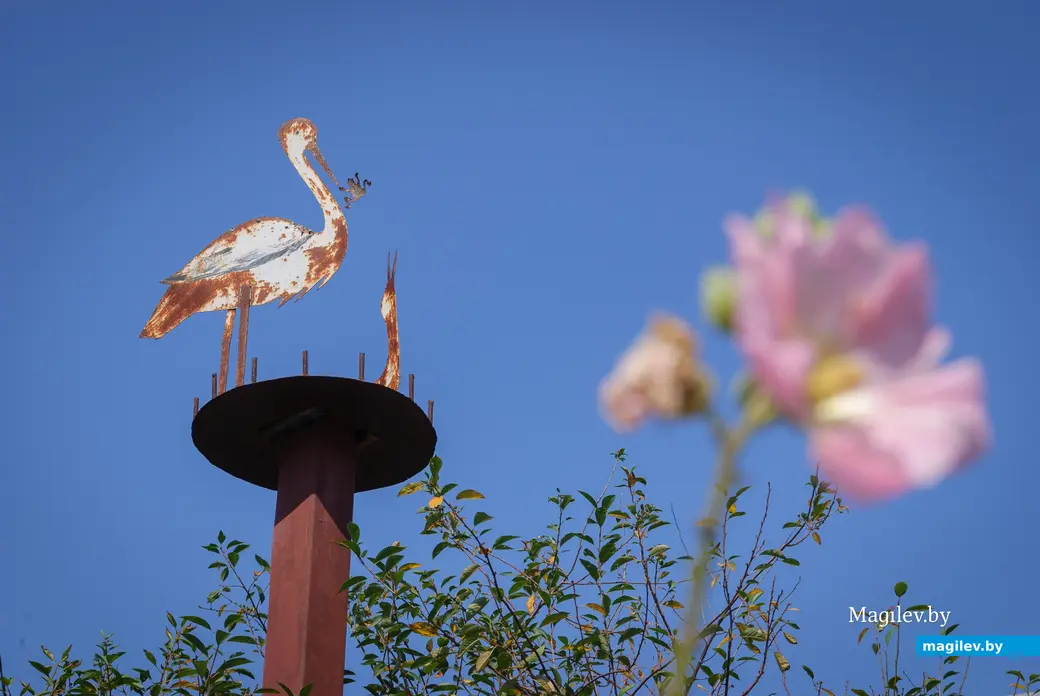 04.09.2025. 170А, Набережная улица, Ленинский район, Бобруйск, Могилёвская область, 213817, Беларусь. Дальний форштадт. Улица Набережная