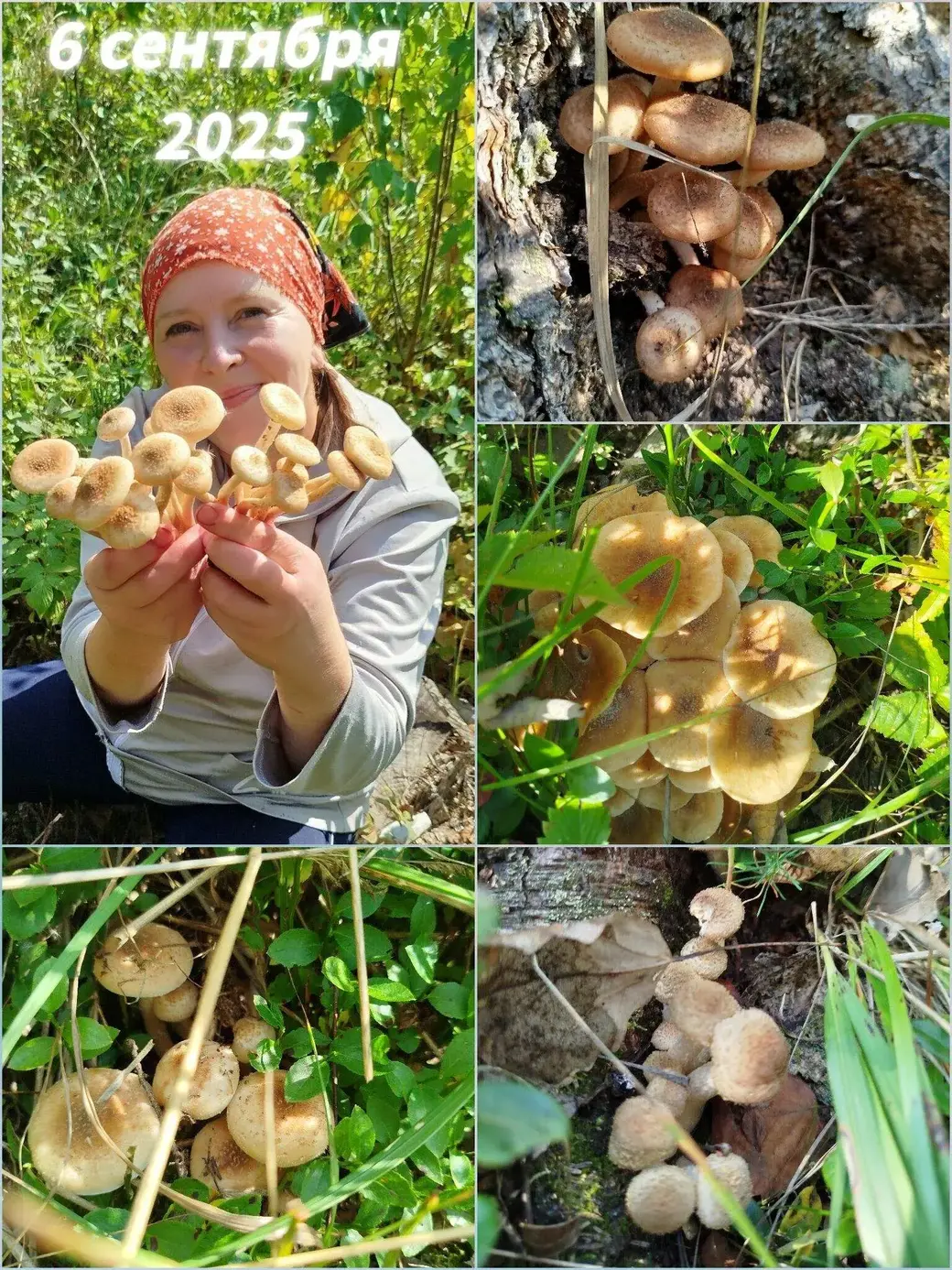 6.09,2025. Алла Сорокина со своими трофеями.