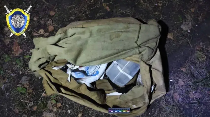 В Осиповичском районе утонул рыбак. Следователи проводят проверку. Фото: СК.