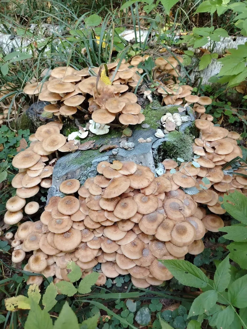 Фото Татьяны Авраменко.