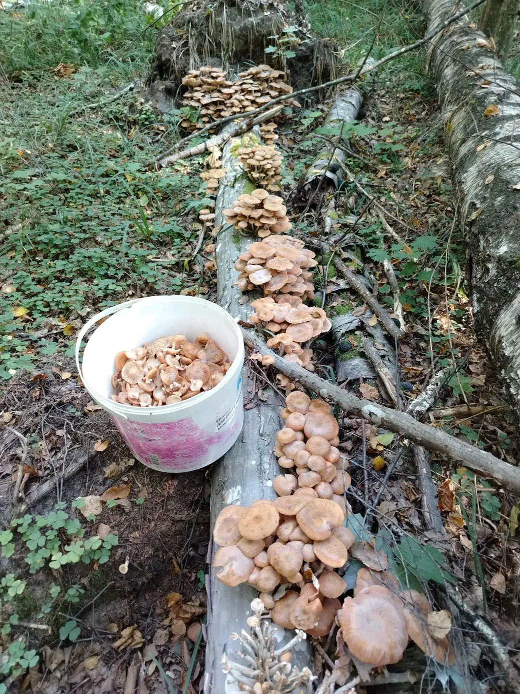 Фото Татьяны Авраменко.