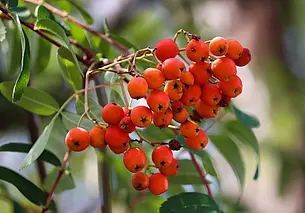 По-летнему тепло и без дождей: какой будет погода в Могилеве в понедельник, 8 сентября