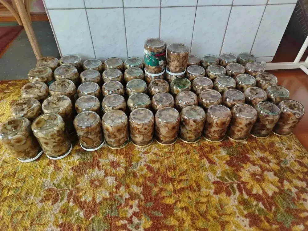 Фото Татьяны Авраменко.