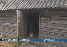 Комбайнер из Чаусского района похитил более тонны для своего подсобного хозяйства