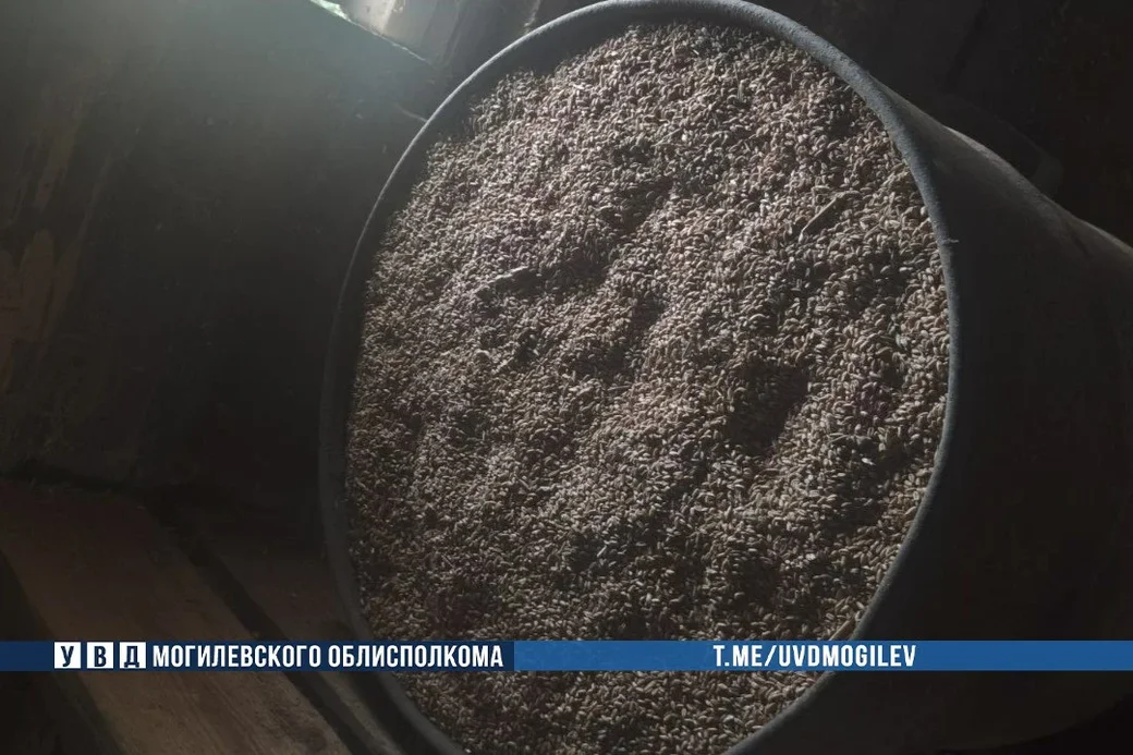  Комбайнер из Чаусского района похитил более тонны для своего подсобного хозяйства