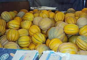 Около 1 тонны дынь не доехали до Беларуси. В чем причина?