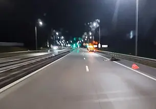 На трассе «Минск-Могилев» фиксируют одни из самых частых ДТП с дикими животными