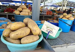 Почем картошка в сентябре? Прошлись по рынкам Могилева
