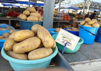 Почем картошка в сентябре? Прошлись по рынкам Могилева