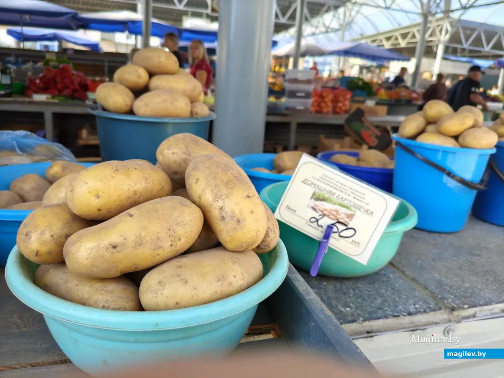 11 сентября 2025 года. Могилев. Минский рынок.