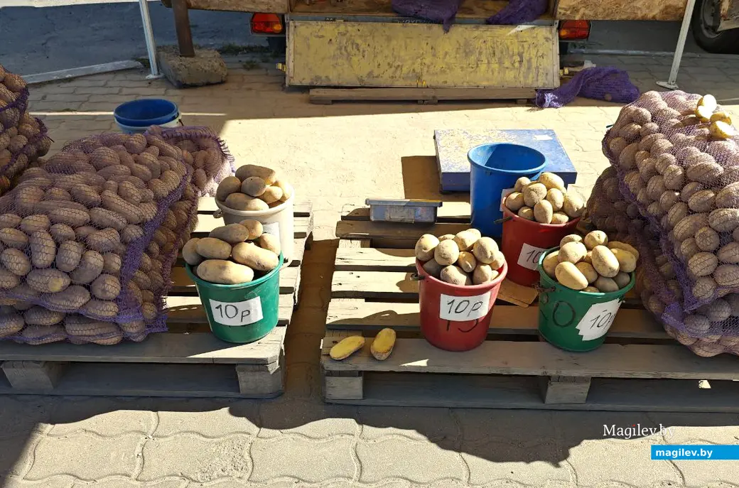 11 сентября 2025 года. Могилев. Гребеневский рынок.